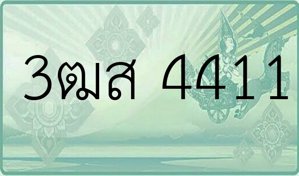3ฒส 4411